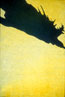 Flight